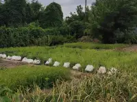 Дача 15 соток, Алматинская область, Талгарский район, с.о. Кендалинский, с. Кендала, с/т Медик-, фотография 4