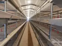 Оборудование  Big Dutchman для птицефабрики по выращиванию птиц из Китайского производителя , дешево и качественно!, фотография 6