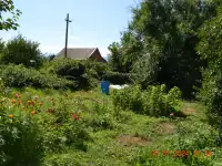 Продается дача 23 сотки, в поселке Акши, Енбекшиказахский район 66 км, фотография 7