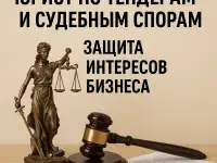 Юрист по тендерам и судебным спорам  защита интересов бизнеса., фотография 2