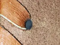 Кинжал и туристический набор продам, фотография 10