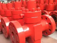 Задвижки клиновые ASME API Gate valves ASME API, фотография 5
