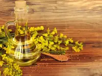 Рапсовое рафинированное дезодорированное масло от производителя, фотография 3