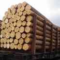 Дрова, Пиломатериалы оптом от 500 м3
