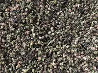 Продаю Семена Люцерны Меркенский район, фотография 9