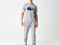 Спортивные мужские брюки lacoste