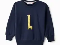 Свитшот w.sharvel