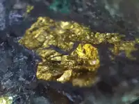 Месторождение золота Казахстан