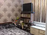 Продается двух этажный благоустроенный дом, 5 проезд Ташкентский, д. 47, фотография 11