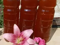 Мед пчелиный, натуральный, 2025 года., фотография 9