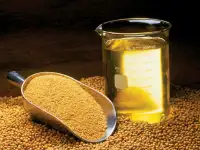 Продажа масла соевого оптом от производителя, фотография 5