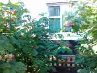 Продается дом пос. Первомайский, фотография 4