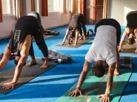 Йога-видео занятия на сайте YogaClub!, фотография 2