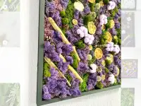 Картины из стабилизированного мха, фотография 3