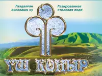 Портреты на заказ, семейные на холсте с багетом, цена договорная, фотография 9