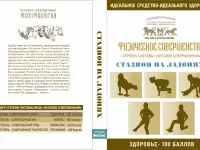 Универсальный спортивно-оздоровительный тренажёр Стадион на ладони, фотография 2