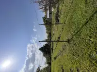 Продам большой дом с двумя входами отдельно и 24 сотки земли, фотография 11