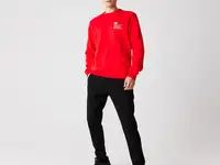 Мужские спортивные брюки lacoste regular fit