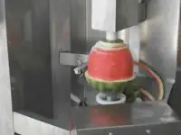 Машина для очистки от кожуры ананаса, дыни, арбузов, тыквы, фотография 2