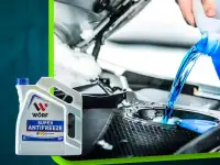 Коммерческое предложение, фотография 10