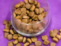 Комбикорм для щенков 2-х месяцев, фотография 2