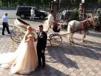 Сани кареты, фотография 3