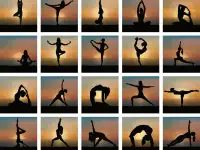 Тренер по хатха-йоге, фотография 6