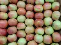 яблоки свежие, фотография 2