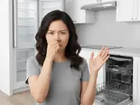 Удаление и устранение запаха в холодильнике, морозилке, посудомойке Алматы и Алматинской Области. Срочно 247