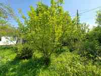 Продам участок под бизнес, Медеуский район, возле Центрального парка культуры и отдыха, фотография 6