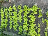 Продажи или меняю  дом, фотография 9