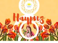 Графический дизайнер, фотография 5