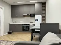 Сдам новую квартиру в аренду на долгий срок, Рыйымбека 210, фотография 4