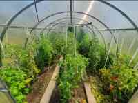 Продам Дача участок Федоровское водохранилище, 6 соток, Фёдоровка., фотография 3