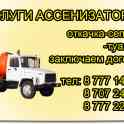Ассенизатор