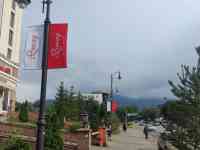 Резмещение рекламных щитов на придорожных столбах и опорах, фотография 3