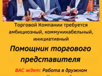 Требуется помощник Торгового представителя