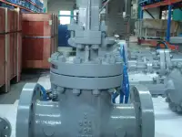 Задвижки клиновые ASME API  Gate valves ASME, фотография 2