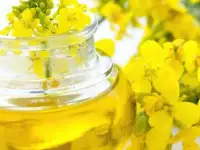 Рапсовое рафинированное дезодорированное масло от производителя, фотография 6