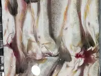 Рыба св.мороженная во Владивостоке., фотография 6