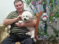 Ищем подружку своему любимчику, фотография 3