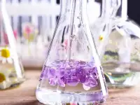 Гидролаты, Термогидролаты, Эксфолианты (абразивы) оптом, фотография 2