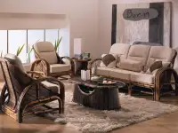 Мебель из ротанга Класса Люкс