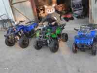 Квадроциклы 50,110,125,250сс, фотография 6