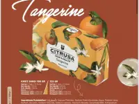 Продам оптом кусковое туалетное мыло, фотография 2