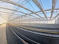 Сельскохозяйственный комплекс - Птицефабрика и теплица., фотография 9