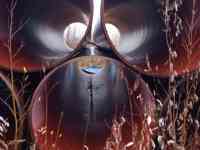 Предприятие из России реализует трубы стальные.