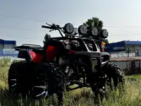 Квадроцикл 250сс на кардане, фотография 8