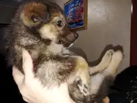 Забери меня к себе, Добрый человек, фотография 2