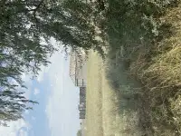 Продам участок в Киши Байсерке, фотография 3